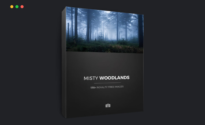 170 张迷雾森林参考照片 MISTY WOODLANDS