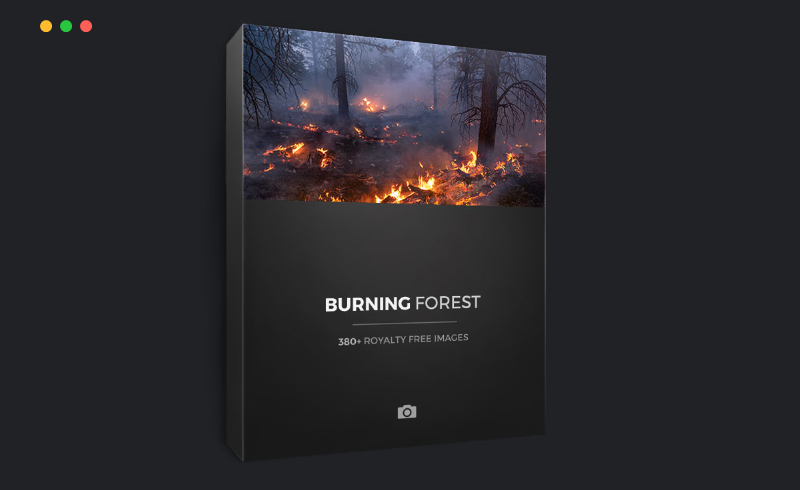 388 张燃烧的森林参考照片 BURNING FOREST