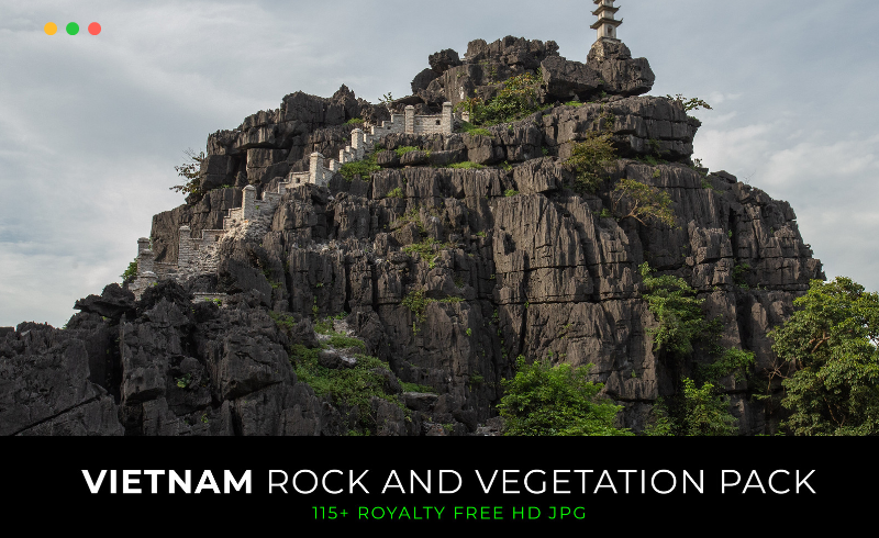 115 张岩石和植被参考照片 Rock and vegation pack