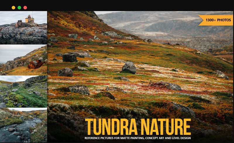 1300 多张苔原自然环境参考图片  1300+ Tundra Nature Reference Pictures