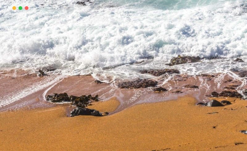 66 张橙色沙滩和灰色岩层参考照片 66 photos of Rust Sand