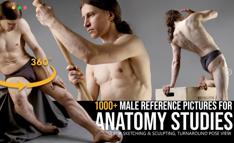 1000 多张解剖学素描站立姿势参考图片