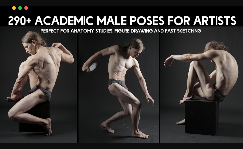 290 张男性肌肉解剖姿势参考图片