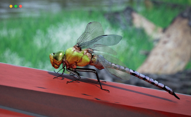 【UE4/5】写实蜻蜓动画 Animalia – Green Darner Dragonfly