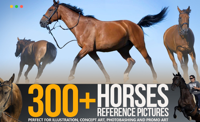 300 多匹马动态姿势参考图片 300+ Horses Reference Pictures