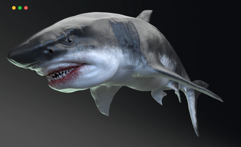 【UE4/5】海怪巨齿鲨  MEGALODON – Sea Monster Series 5