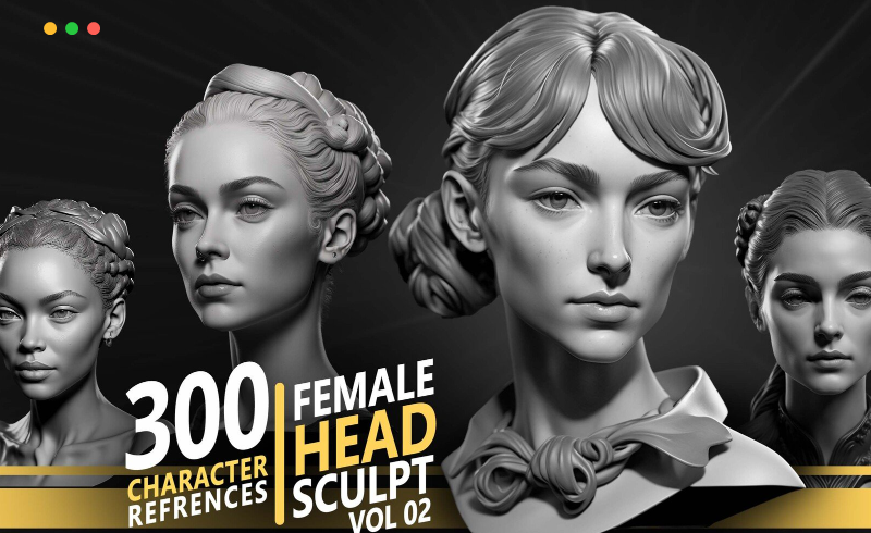 300 张女性头部雕刻角色参考照片 300 Female Head Sculpt Character references