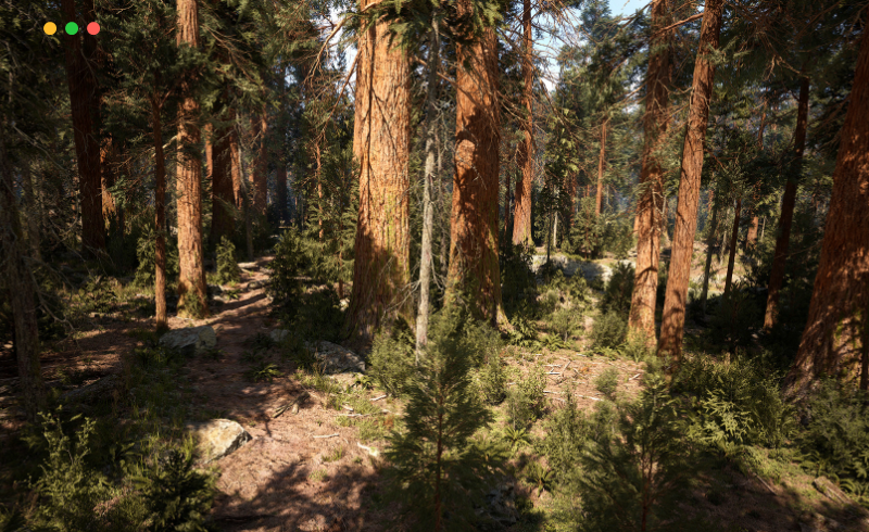 【UE5】红木树森林生物群系 MW Redwood Trees Forest Biome