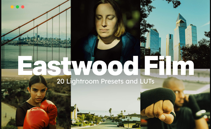 【LUT】20 个Eastwood Film Lightroom 预设和 LUT预设