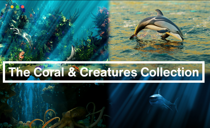 Blender模型 – 珊瑚与生物系列 The Coral & Creatures Collection