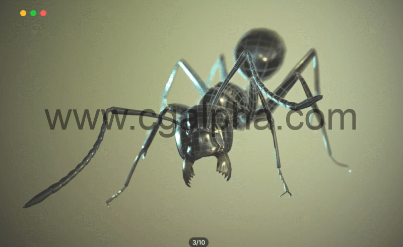 Unity – 蚂蚁动画模型 Black Garden Ant