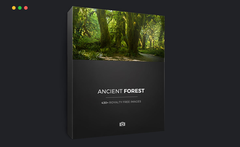 430 张远古森林参考照片 ANCIENT FOREST