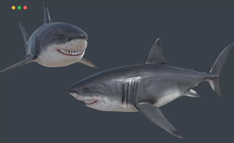 Unity – 巨齿鲨 Megalodon (Carcharocles megalodon)