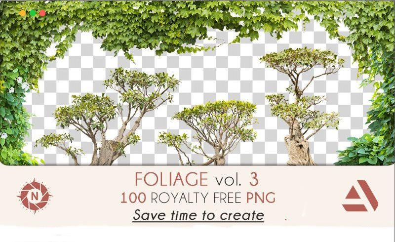 100 个植物树叶照片剪影 Foliage volume 3