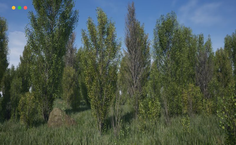 【UE4/5】杨树群 Poplars Pack