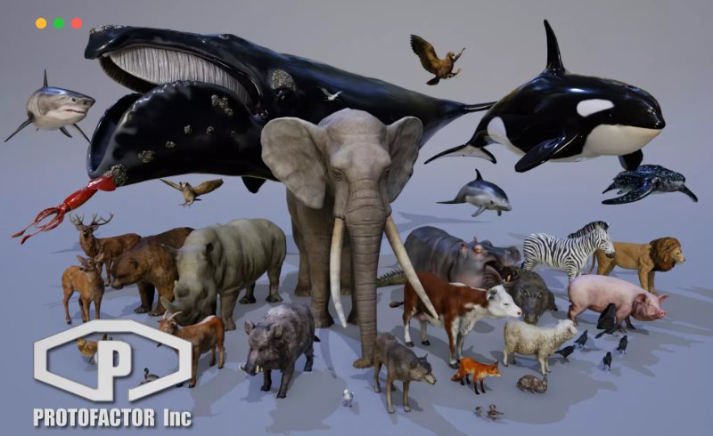Unity – 森林动物资源包 ANIMALS FULL PACK