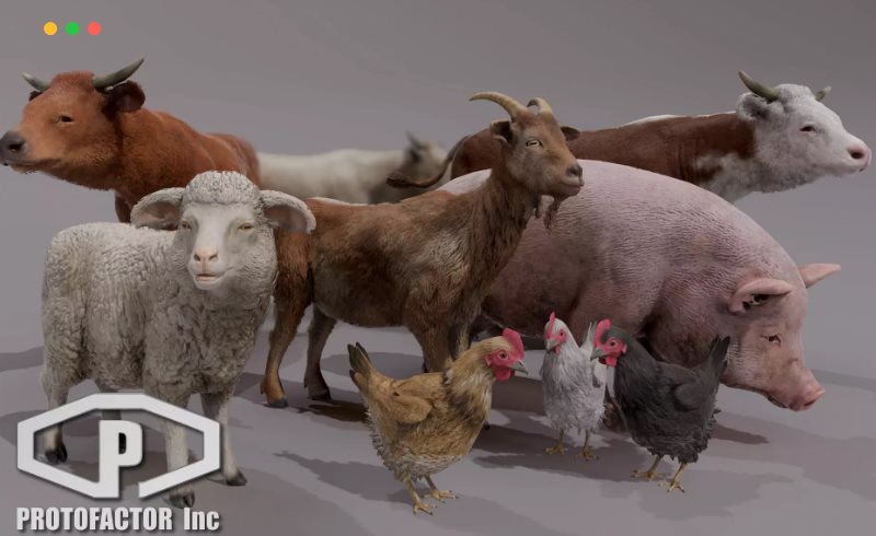 Unity – 农场动物动画 FARM ANIMALS PACK