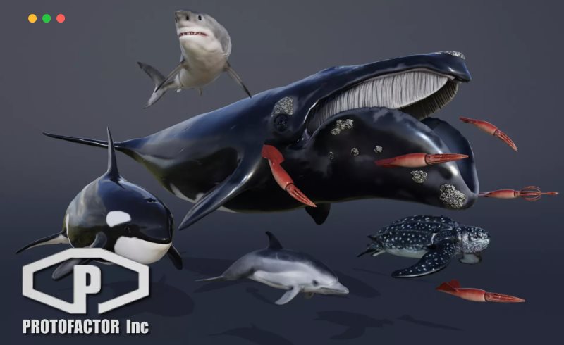 Unity – 海洋动物包 OCEAN ANIMALS PACK VOL 1
