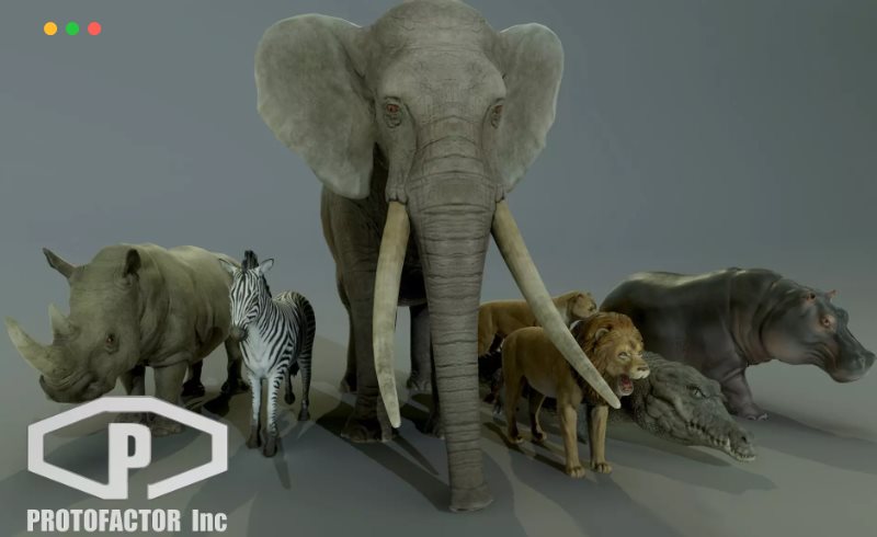 Unity – 非洲动物包 AFRICAN ANIMALS PACK