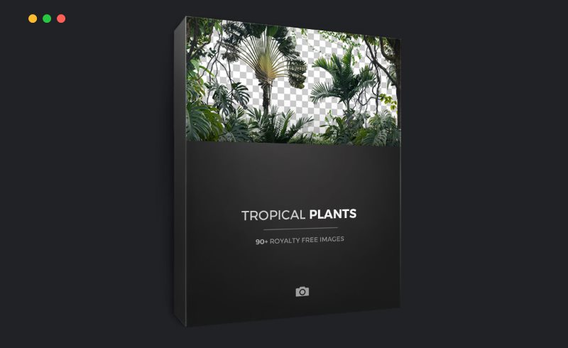 92 张热带植物剪影素材 TROPICAL PLANTS