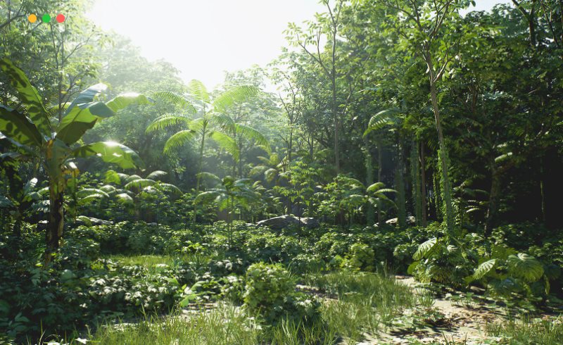 【UE4/5】热带雨林环境 Rain Forest Pack