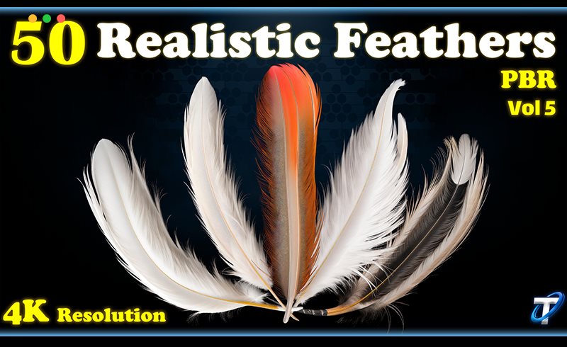 50 组风格化羽毛PBR 纹理 Stylized Feather – PBR Textures (MEGA Bundle) – Vol 5