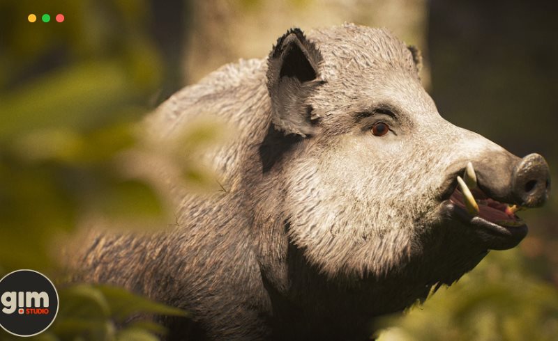 【UE4/5】雄性野猪 Animalia – Wild Boar (male)