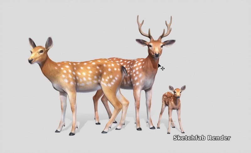 【UE5】鹿家族 Deer Family