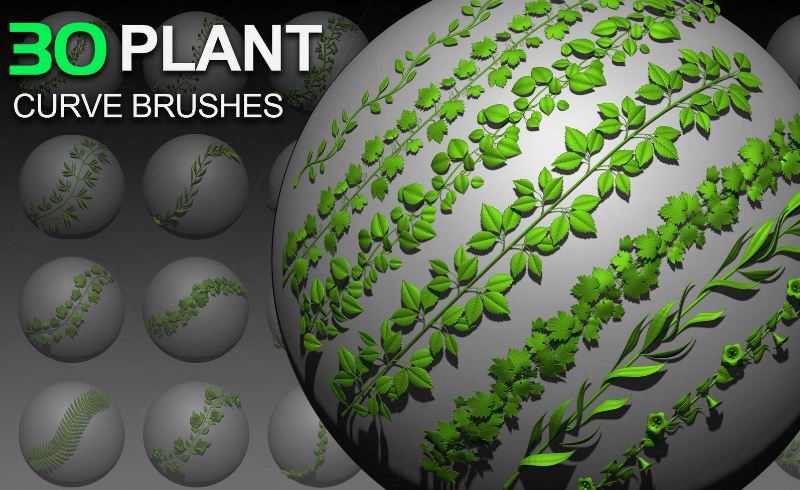 Zbrush笔刷 – 30 组植物曲线笔刷 30 Plant Curve Brushes
