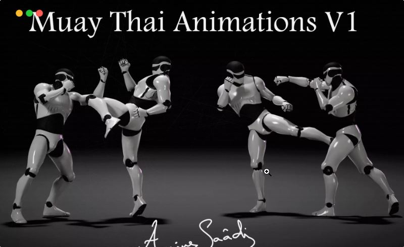 Unity动画 – 跆拳道泰拳格斗动画 Combat animations – Kickboxing and Muay Thai V1