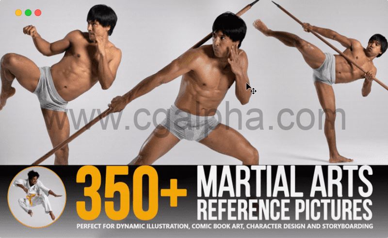 350 张武术武打动作动态姿势参考图片 350+ Martial Arts Reference Pictures