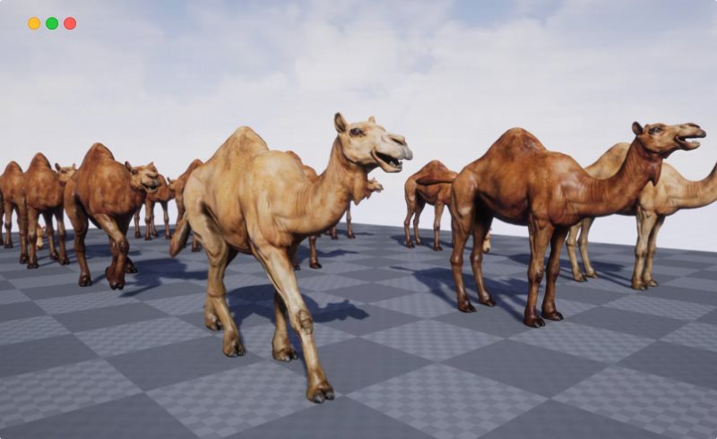 【UE4/5】骆驼 African Animal – Camel (Dromedary)