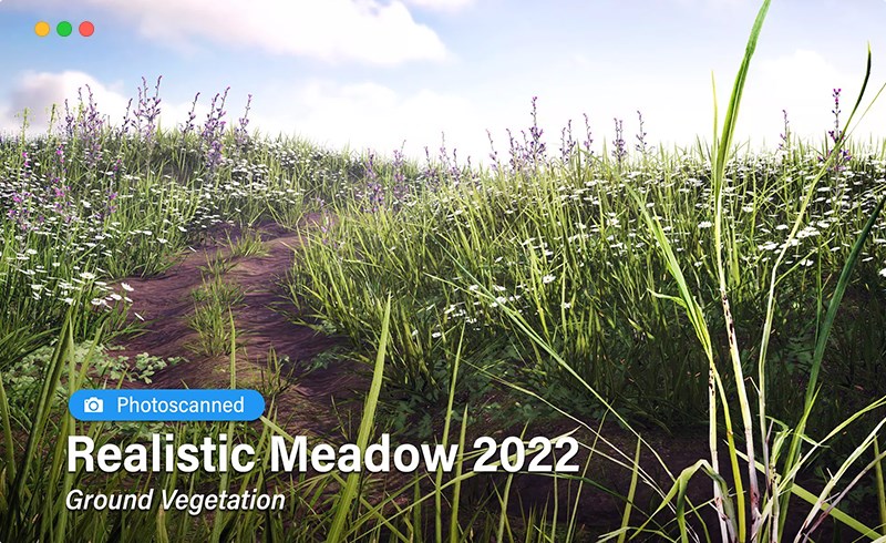 Unity – 写实绿色花草植物 Realistic Meadow 2022 ・ Ground Vegetation