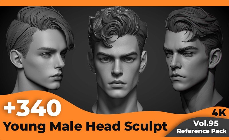 340 张年轻男性头部雕刻参考照片 Young Male Head Sculpt Reference(4k)