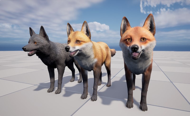 【UE4/5】写实狐狸 Fox