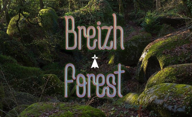 175 张森林苔藓岩石参考照片 Breton Forest reference pack
