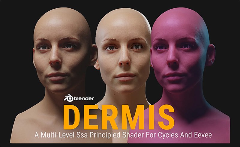 Blender插件 – 多级SSS皮肤材质资产预设 Dermis: A Multi-Level Sss Principled Shader For Cycles