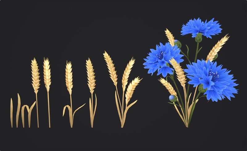 【UE5】风格化野花植物 Stylized Handpainted Wildflowers Pack: Low-poly 3D Model