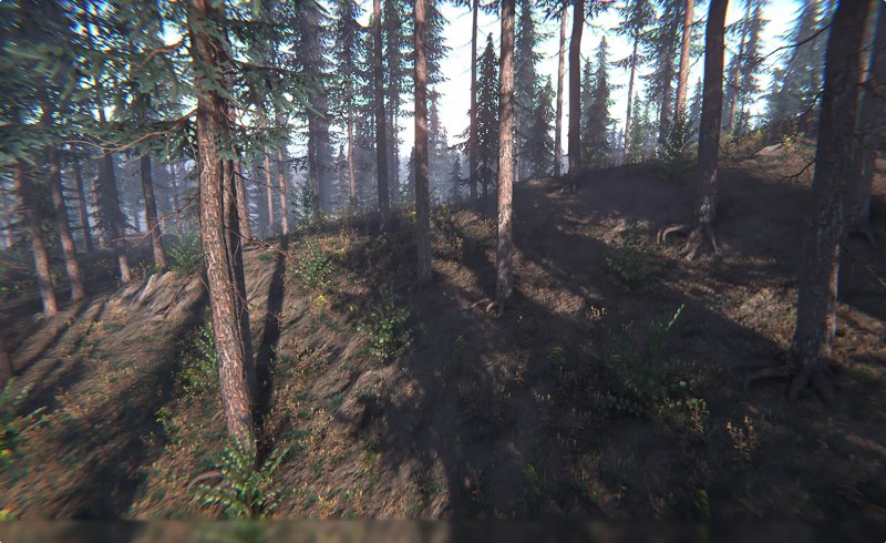 Unity植物 – 云杉树 Spruce Trees Pack