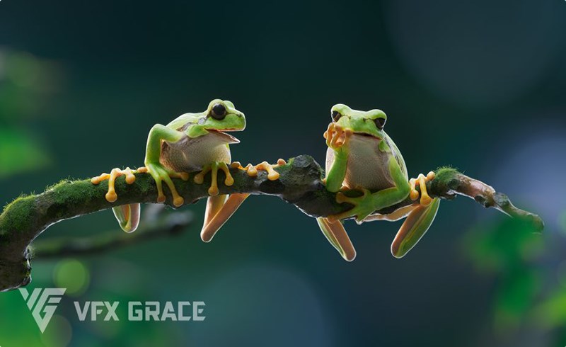 模型资产 – 写实树蛙动画3D模型 Tree Frog Animated VFX Grace 3D model