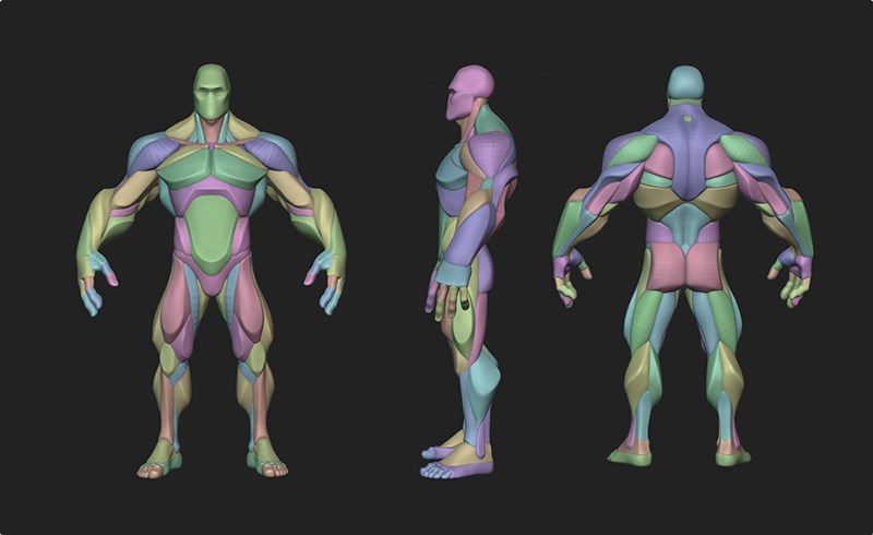 模型资产 – 风格化英雄角色解刨模型 Stylized Hero Anatomy Blockout