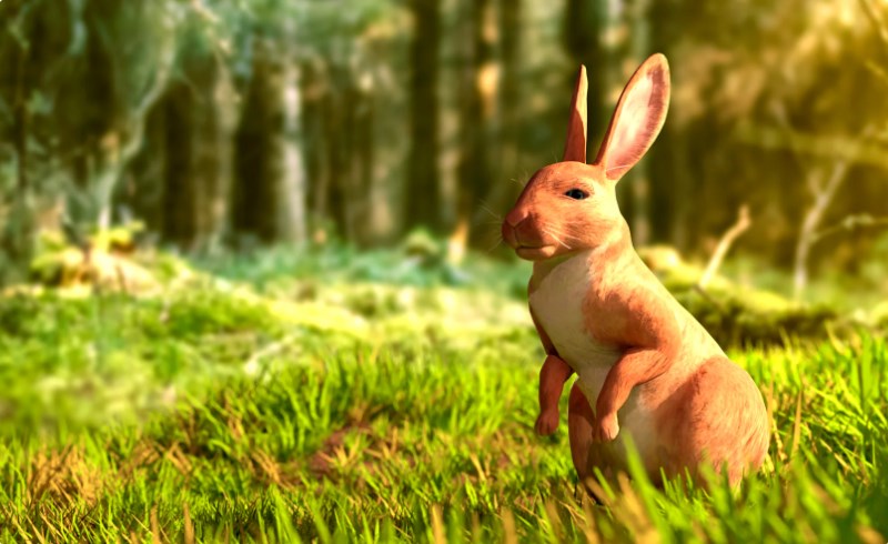 【UE4/5】写实兔子 Realistic Rabbit