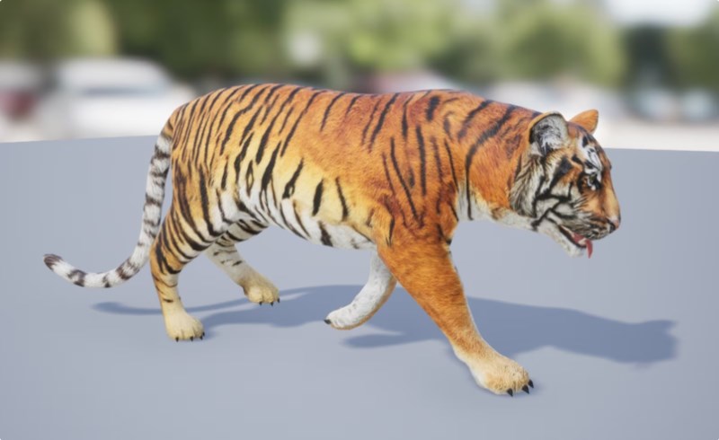 【UE4/5】梅杜耶虎 Medhue Tiger