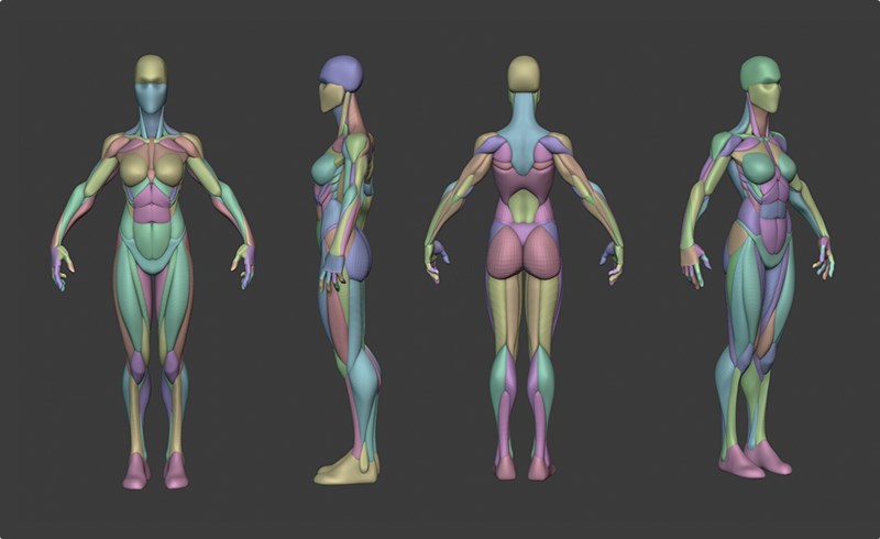 模型资产 – 风格化女性解剖模型 Stylized Heroine Anatomy Blockout