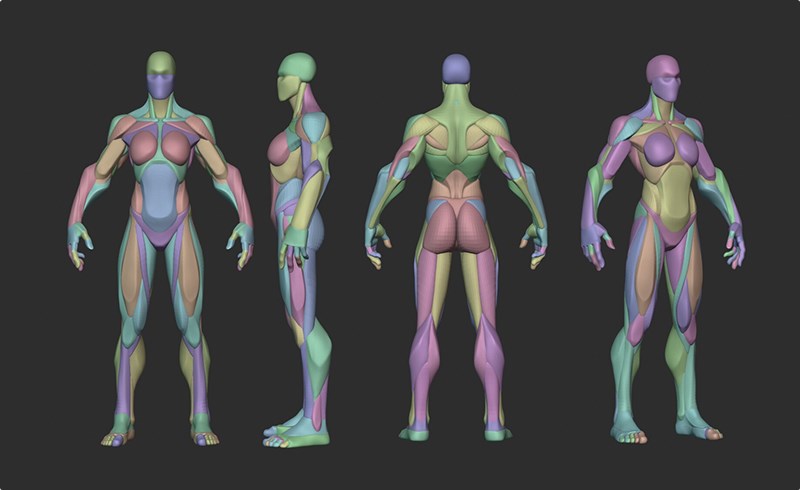 模型资产 – 风格化女性解剖模型 Stylized Female Hulk Anatomy Blockout