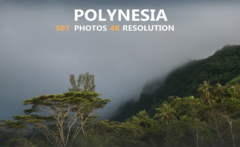 507 张波利尼西亚照片参考包 Polynesia photo reference pack