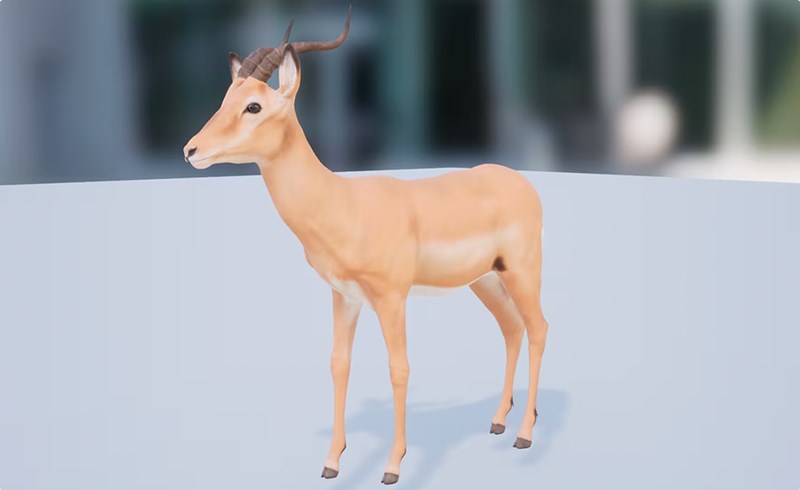 【UE4/5】羚羊 Antelope Impala