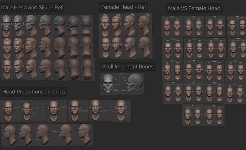 【中文字幕】Blender教程 – 大师级头部雕刻教程 Master Sculpting Heads – 3D Blender Course