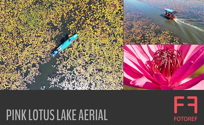 364 张粉红莲花湖航拍参考照片 364 photos of Pink Lotus Lake Aerial