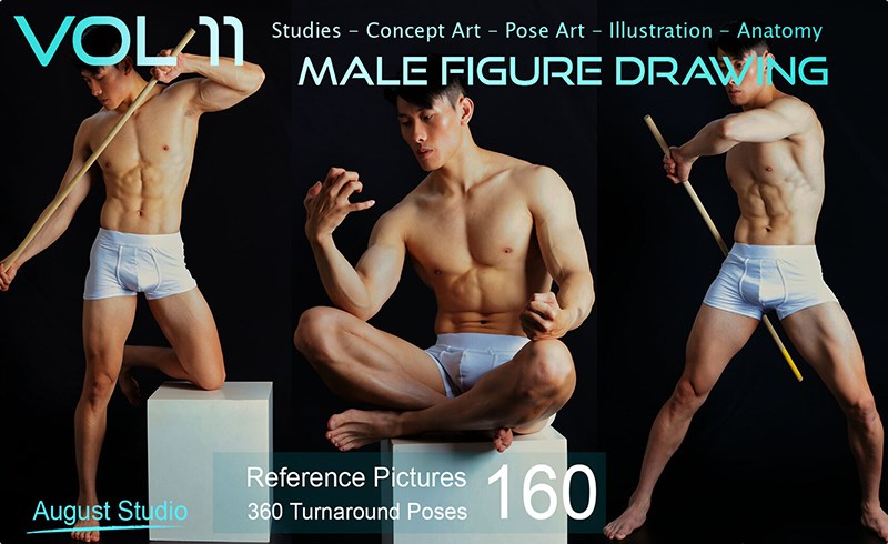 160 张男性人体素描参考照片 Male Figure Drawing – Vol 11 – Reference Pictures